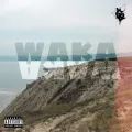 Waka Waka ft. Yasha Ponchik