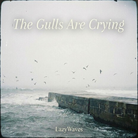 The Gulls Are Crying cover art