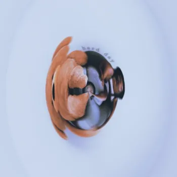 Hard Day cover art