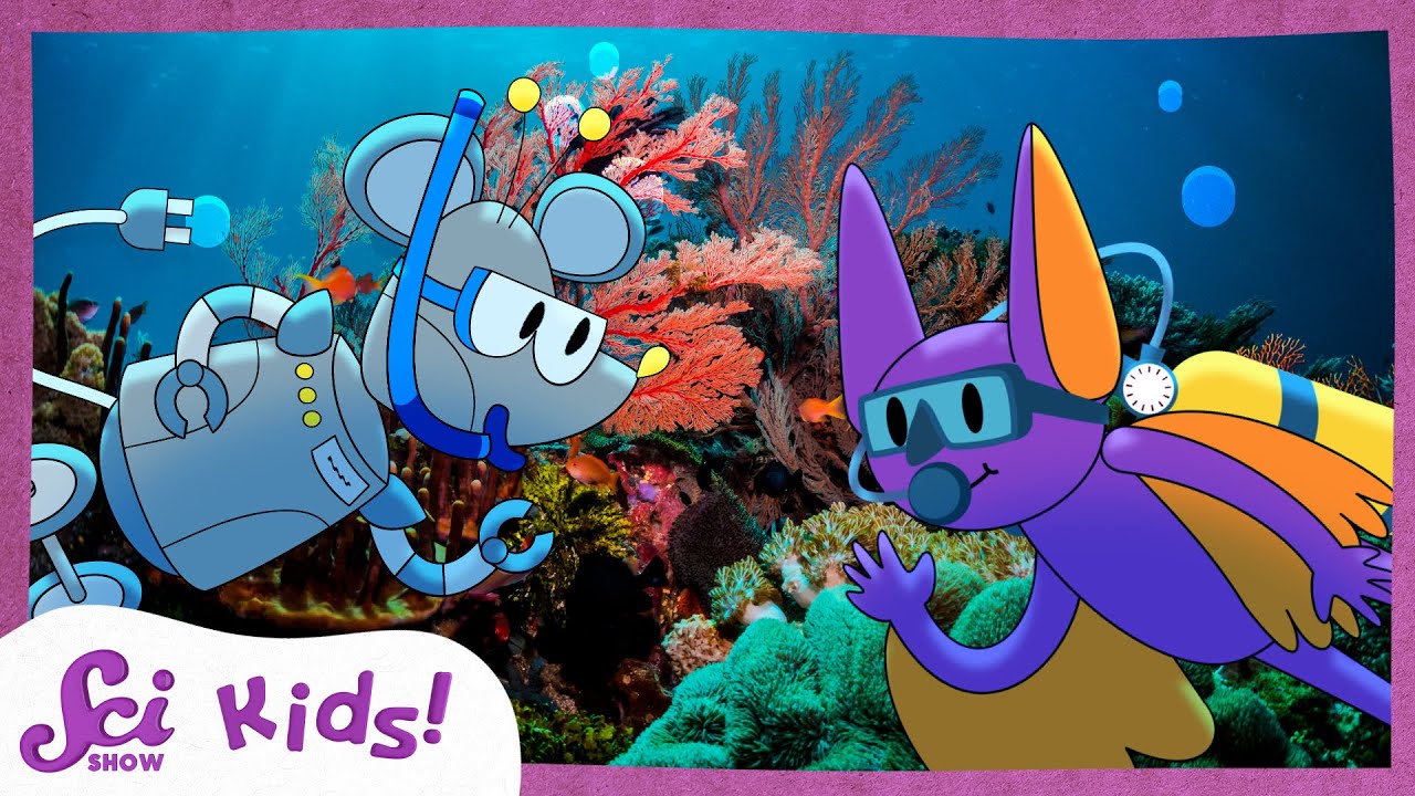 Explore Our Planet! | SciShow Kids