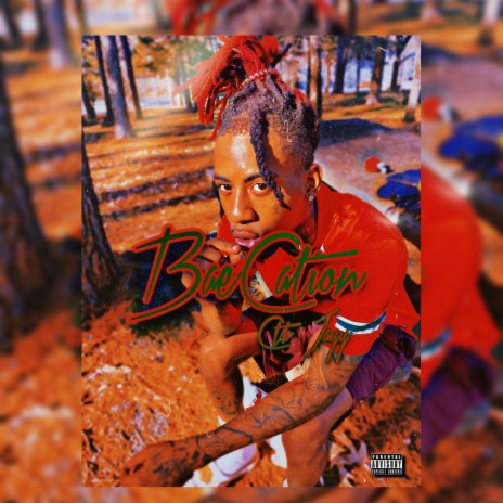 BaeCation cover art
