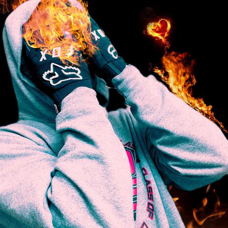 Lilac cover art