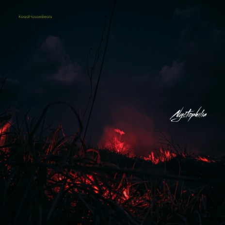 Conclusion (Outro) cover art