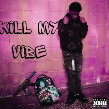 Kill My Vibe cover art
