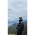 Giống như đám mây