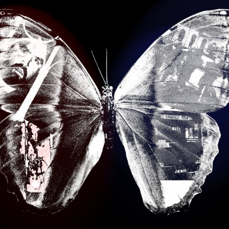 Gri ft. Z3T cover art