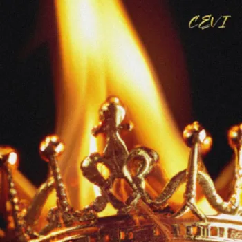 CEVI cover art