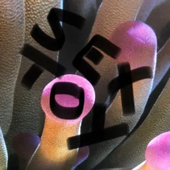 Sex Toy cover art
