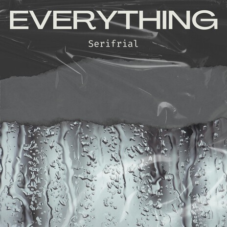 Everything cover art