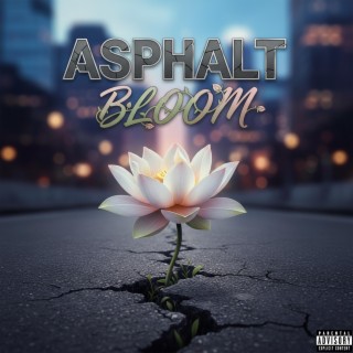 Asphalt Bloom