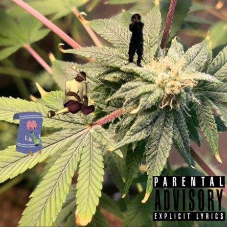 $moke cover art