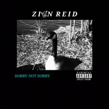 Sorry Not Sorry cover art