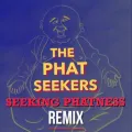 Seeking Phatness (Remix)