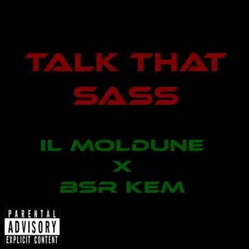 Talk That Sass ft. BSR KEM cover art