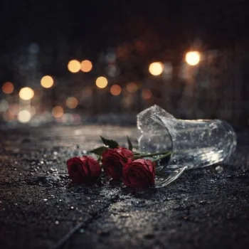 Kayıp Hediye cover art