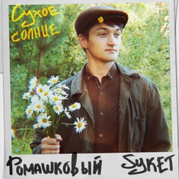 Ромашковый букет cover art