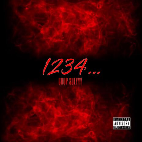 1234 cover art