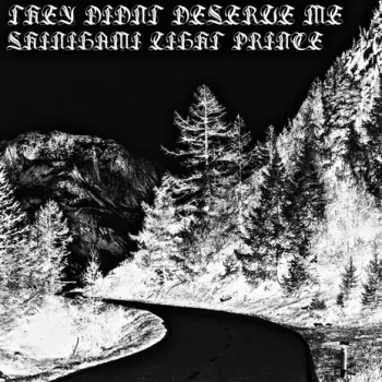 They Didn’t Deserve Me cover art