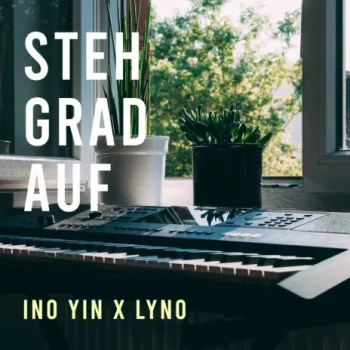 Steh Grad Auf ft. LYNO cover art