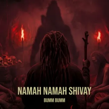Namah Namah Shivay cover art