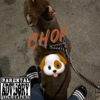 Chop cover art
