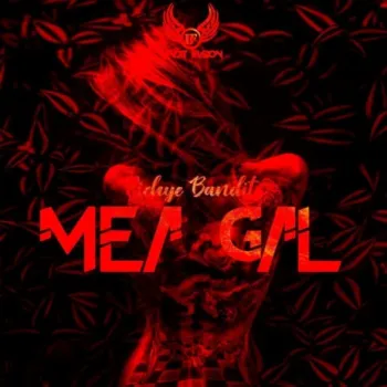 Mea Gal cover art