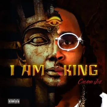 War cover art