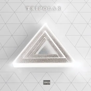 Enjoy cover art