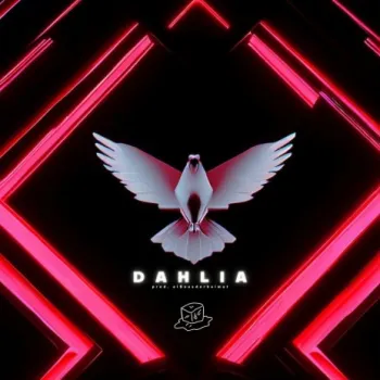 Dahlia cover art