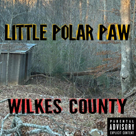 Wilkes County cover art