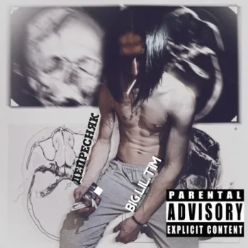 Веселье cover art