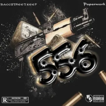 556 ft. Paperwork cover art