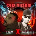 Did Nidam ft. Ljam