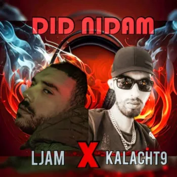 Did Nidam ft. Ljam cover art