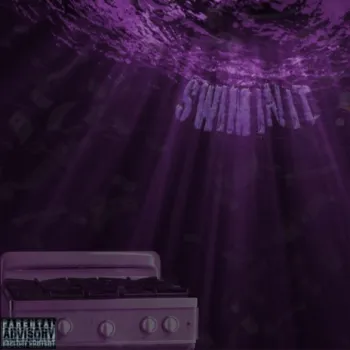 SWIM IN IT cover art