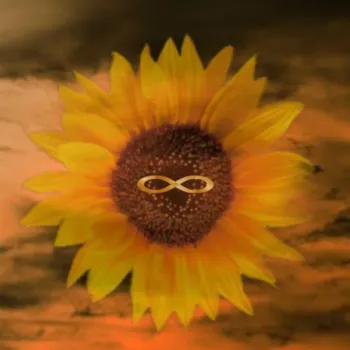 Forever cover art