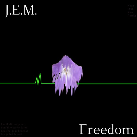 Freedom cover art