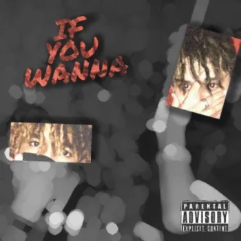 If You Wanna ft. Lucixx cover art