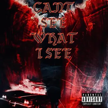 Cant see what i see cover art
