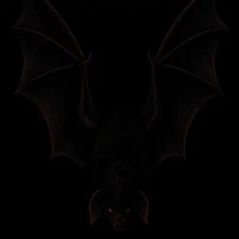 Liliac cover art