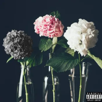 SIA cover art