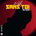 Sans toi