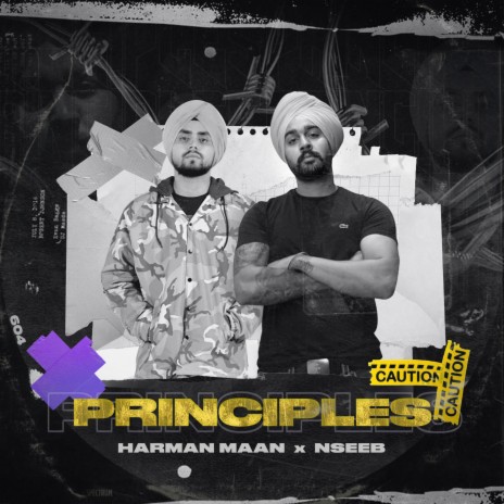 Principles ft. Nseeb cover art