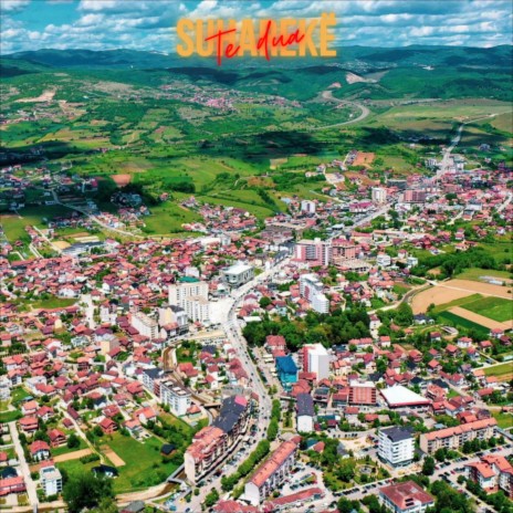 SUHAREKË TE DUA (Instrumental Version) cover art