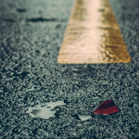 自说自话 ft. 卡姆路 cover art