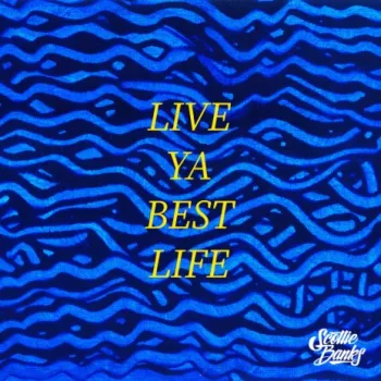 Live Ya Best Life cover art