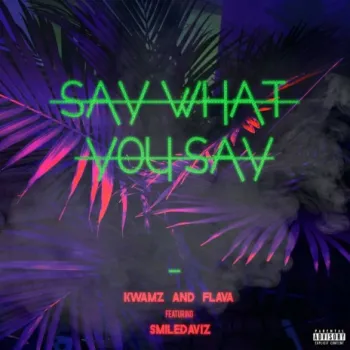 Say What You Say ft. SmileDaviz cover art