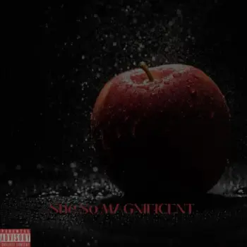 Rare ft. PORTER AVE cover art