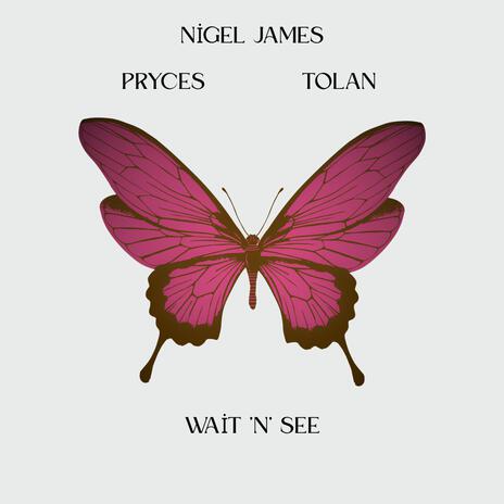 Wait N See ft. Pryces & Nigel James cover art