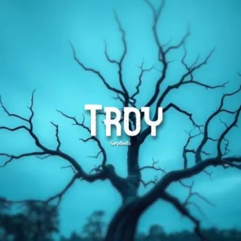 Troy cover art